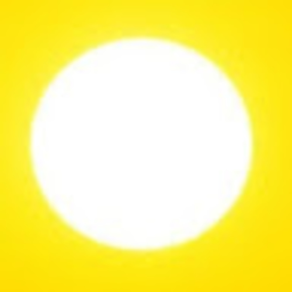 Meet your Posher, Evan